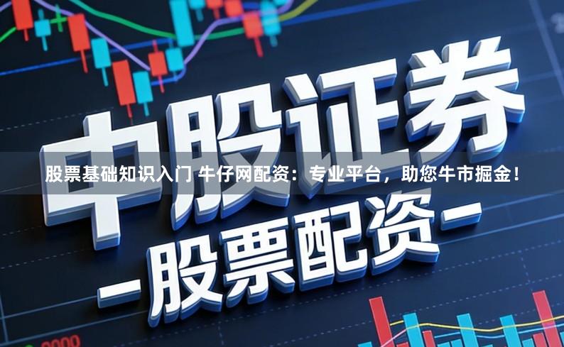股票基础知识入门 牛仔网配资：专业平台，助您牛市掘金！