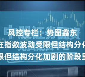 风控专栏:势图鑫东财配资在指数波动受限但结构分化加剧的阶段里